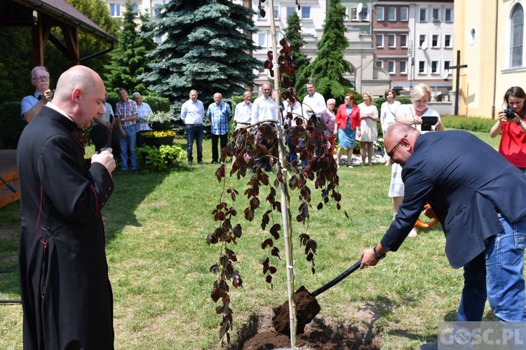 Poświęcenie zielonego "Zakątka u św. Mikołaja" w Głogowie