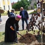 Poświęcenie zielonego "Zakątka u św. Mikołaja" w Głogowie