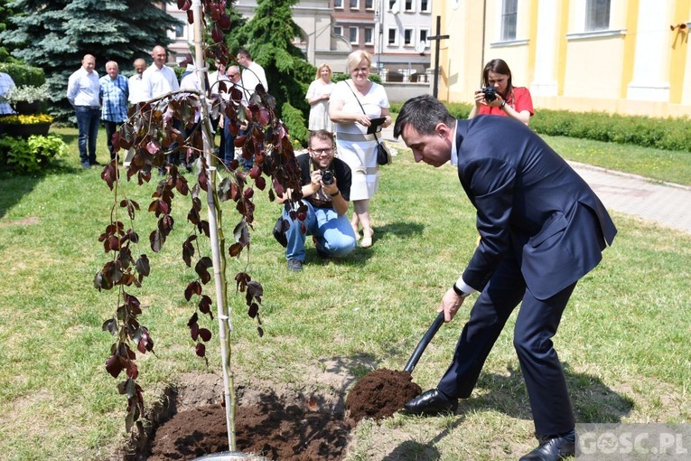 Poświęcenie zielonego "Zakątka u św. Mikołaja" w Głogowie