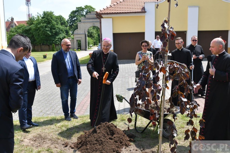 Poświęcenie zielonego "Zakątka u św. Mikołaja" w Głogowie