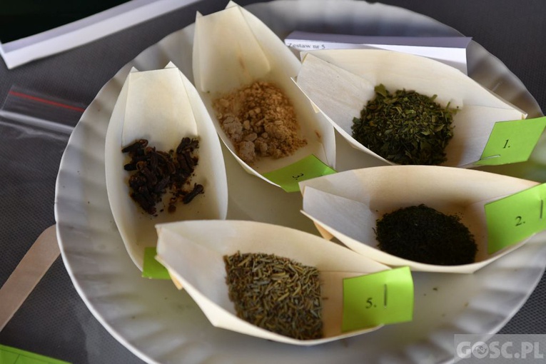 Poświęcenie zielonego "Zakątka u św. Mikołaja" w Głogowie