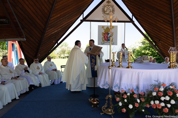 Pielgrzymka chorych i cierpiących oraz służby zdrowia do Rokitna