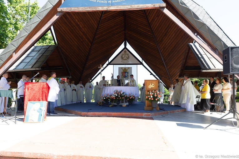 Pielgrzymka chorych i cierpiących oraz służby zdrowia do Rokitna