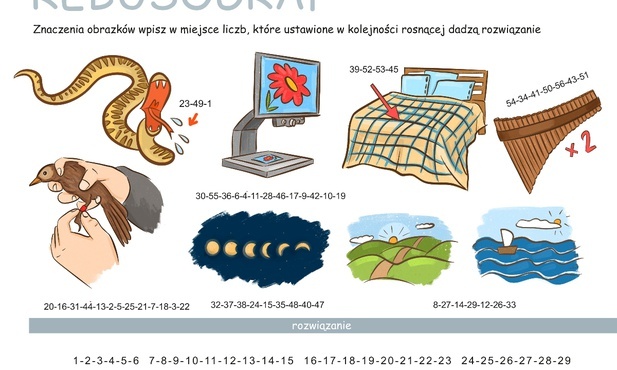 Konkurs: Rozwiąż rebusograf#9