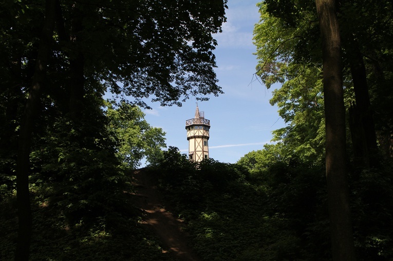 Wokół Sanktuarium NMP Różańcowej w Nowolesiu