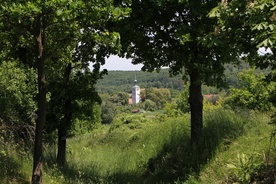 Sanktuarium NMP Różańcowej w Nowolesiu, z Bramą-Rybą, czeka na odkrycie