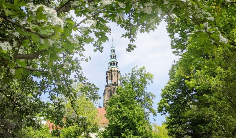 Wręczenie nagrody p. Mariuszowi Barcickiemu