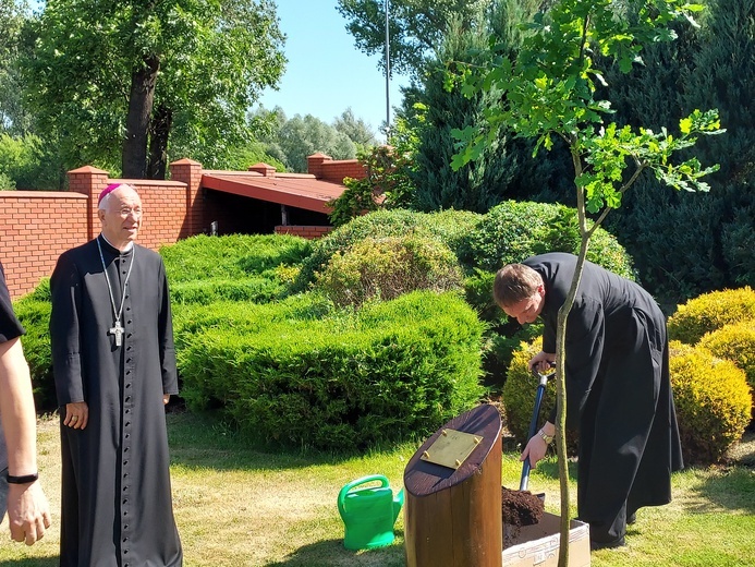 Dąb pamięci i modlitwy za śp bp. Alojzego Orszulika