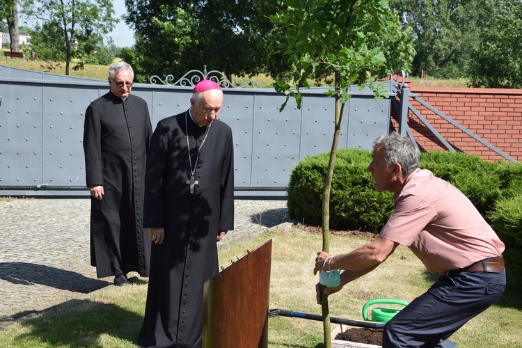 Dąb pamięci i modlitwy za śp bp. Alojzego Orszulika