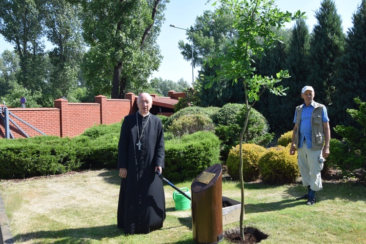 Dąb pamięci i modlitwy za śp bp. Alojzego Orszulika