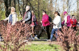 Do tej pory odbyło się 10 edycji zajęć nordic walking. Wzięło w nich udział ponad 1,5 tys. osób.