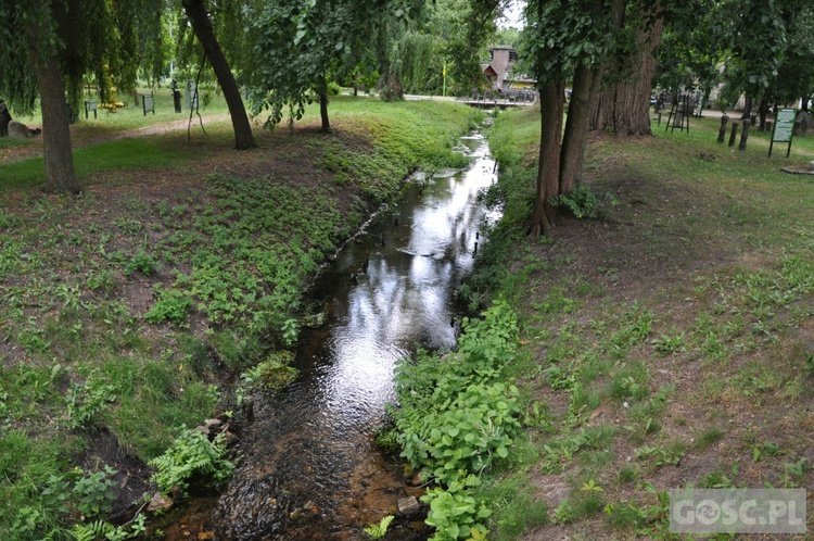 XVII Zawody Wędkarskie o Puchar bp. Adama Dyczkowskiego