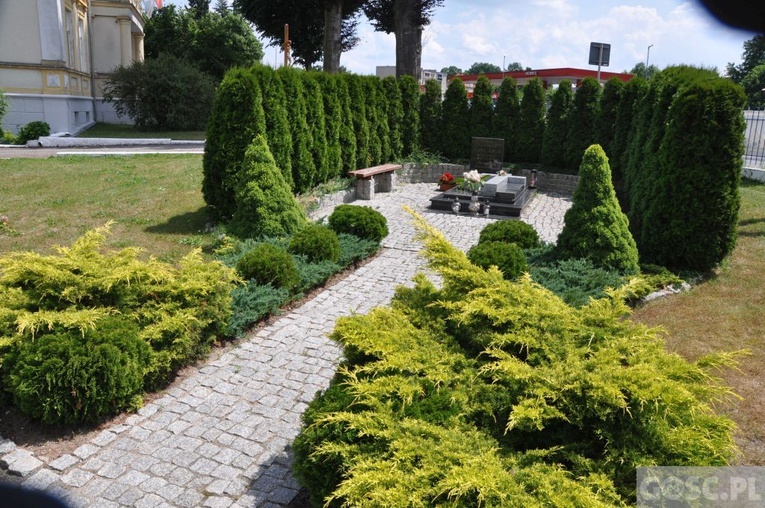 Obchody jubileuszowe