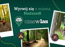 Grafika czaswlas.pl.