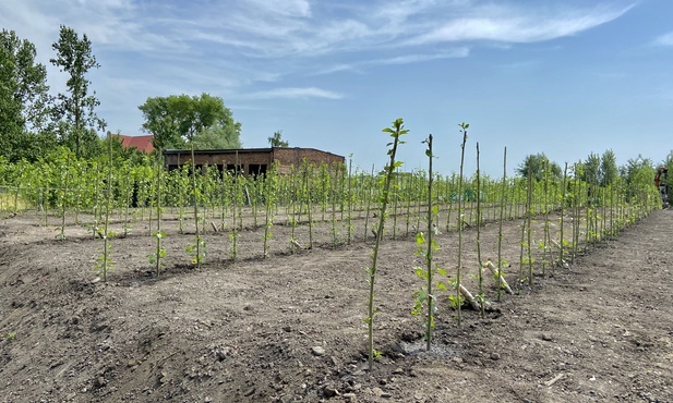 Chorzów. Zielona instalacja na budowie nowego PSZOK-u