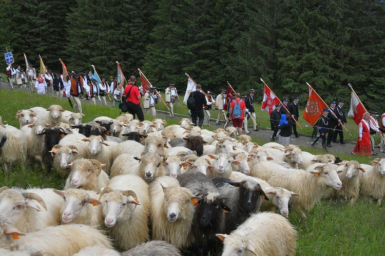 160. rocznica objawień maryjnych na Wiktorówkach