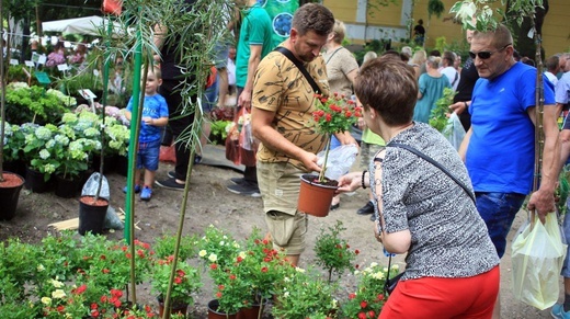 Lato Kwiatów w Otmuchowie