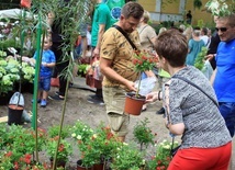 Otmuchowskie Lato Kwiatów