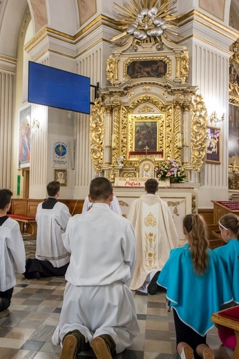 Rowerami z Borek do Luszowic