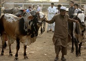 Pakistan: nadużycia w stosowaniu prawa o bluźnierstwie