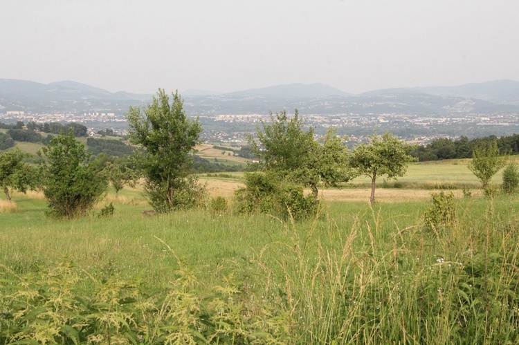 Strzyganiec. Pielgrzmka z Trzetrzewiny