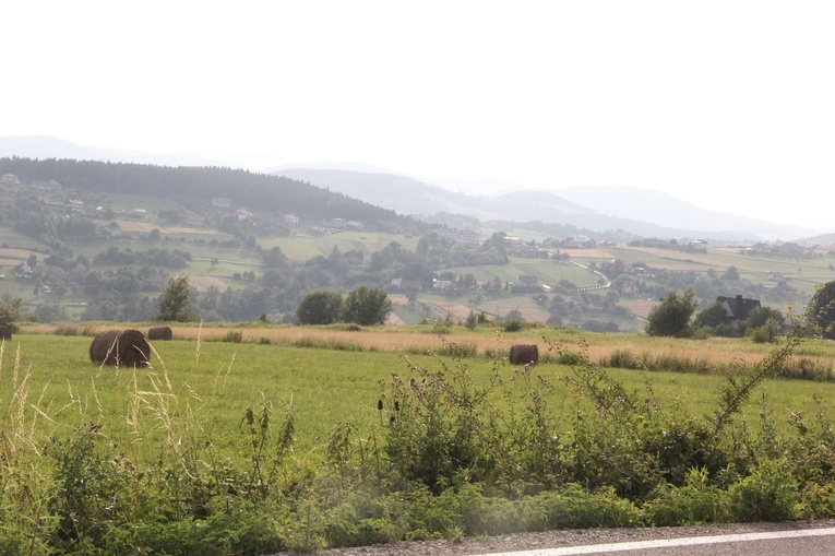 Strzyganiec. Pielgrzmka z Trzetrzewiny