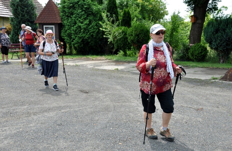 Gwiaździście Szlakiem Jakubowym