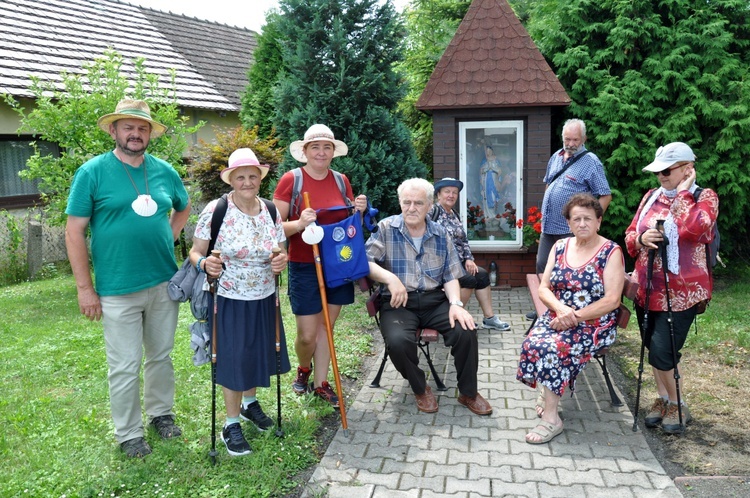 Gwiaździście Szlakiem Jakubowym