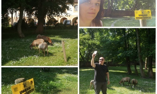 Kamień Śląski - to, co powstało z ruiny