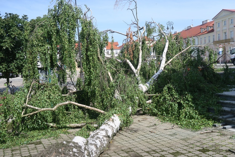 Płock. Krajobraz po burzy