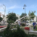 Płock. Krajobraz po burzy