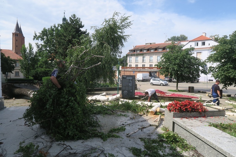 Płock. Krajobraz po burzy