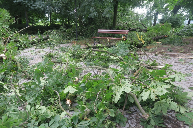 Płock. Krajobraz po burzy
