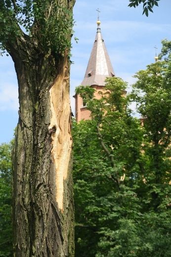 Płock. Krajobraz po burzy