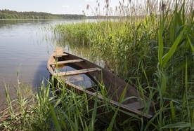 Zmiana planów