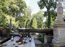 ▲	Uszkodzone nagrobki na płockim cmentarzu katolickim przy ul. Kobylińskiego.