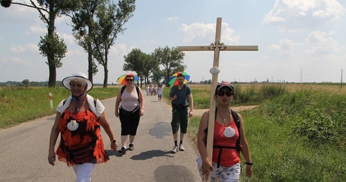 Rok Święty Jakubowy. Na Camino z Kruszyny do sanktuarium w Małujowicach