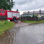 Współpraca służb pozwoliła opanować sytuację zagrożenia.