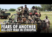 Ethiopia: Fear Tigray conflict could trigger all-out war, 20 civilians killed in clashes | WION News