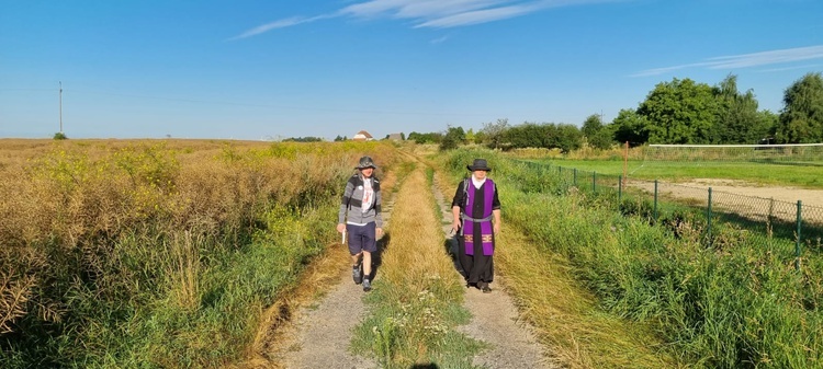 Ósemka w trasie do Tyńca