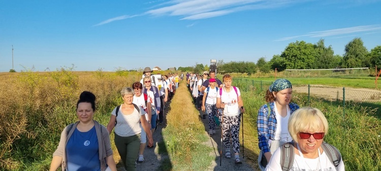 Ósemka w trasie do Tyńca