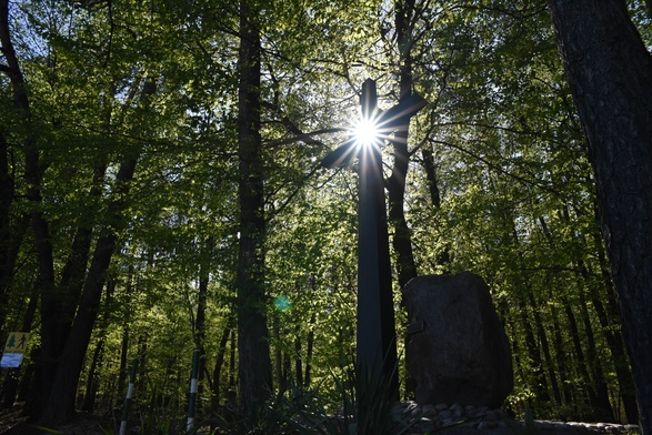 Wejście na Drogę Krzyżową szlakiem męczeństwa bł. Karoliny zmienia ludzi.