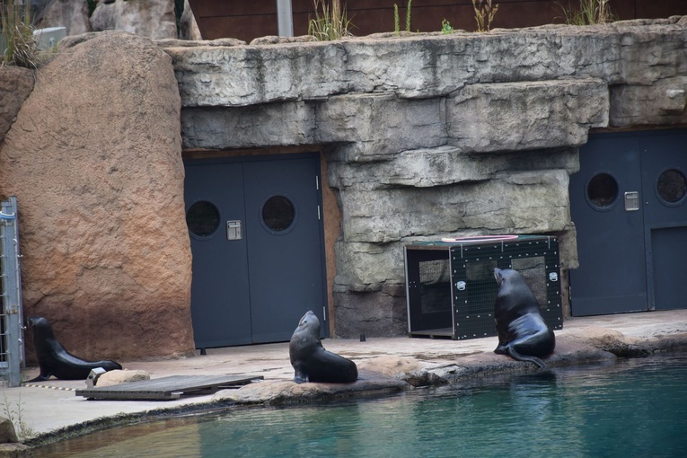 Oaza LSO DT we Wrocławiu