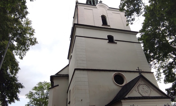 Sławków. Rzadki gatunek nietoperza na strychu kościoła. Świątynia objęta ochroną Natura 2000 