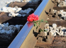Czechy: Zderzyły się pociągi. Są ofiary śmiertelne