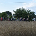 XVIII PPDŚ na Jasną Górę - dzień 6 - Laskowice-Łomnica