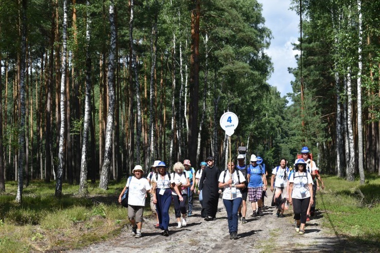 XVIII PPDŚ na Jasną Górę - dzień 7 - Łomnica-Cisie