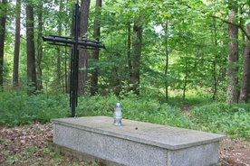 Jedna z mogił w lesie białuckim. Do dziś nie ma pewności, gdzie została pochowana bł. s. Maria Tersa Kowalska.