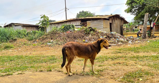 Misja Gabon