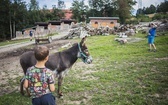 Dolnośląska Wyprawa Ojców z Synami w Jugowicach